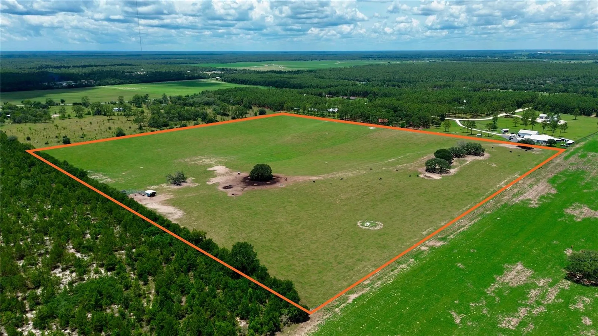 SE 54th Street Morriston FL 32668