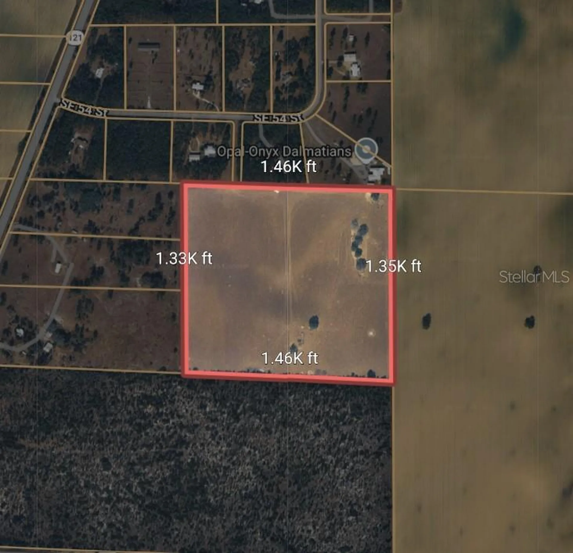 SE 54th Street Morriston FL 32668
