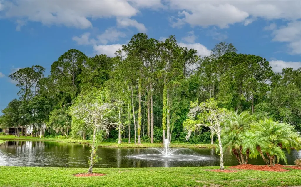 9022 Ramsgate Drive New Port Richey FL 34655