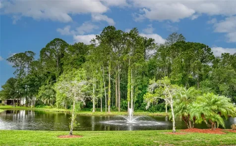 9022 Ramsgate Drive New Port Richey FL 34655