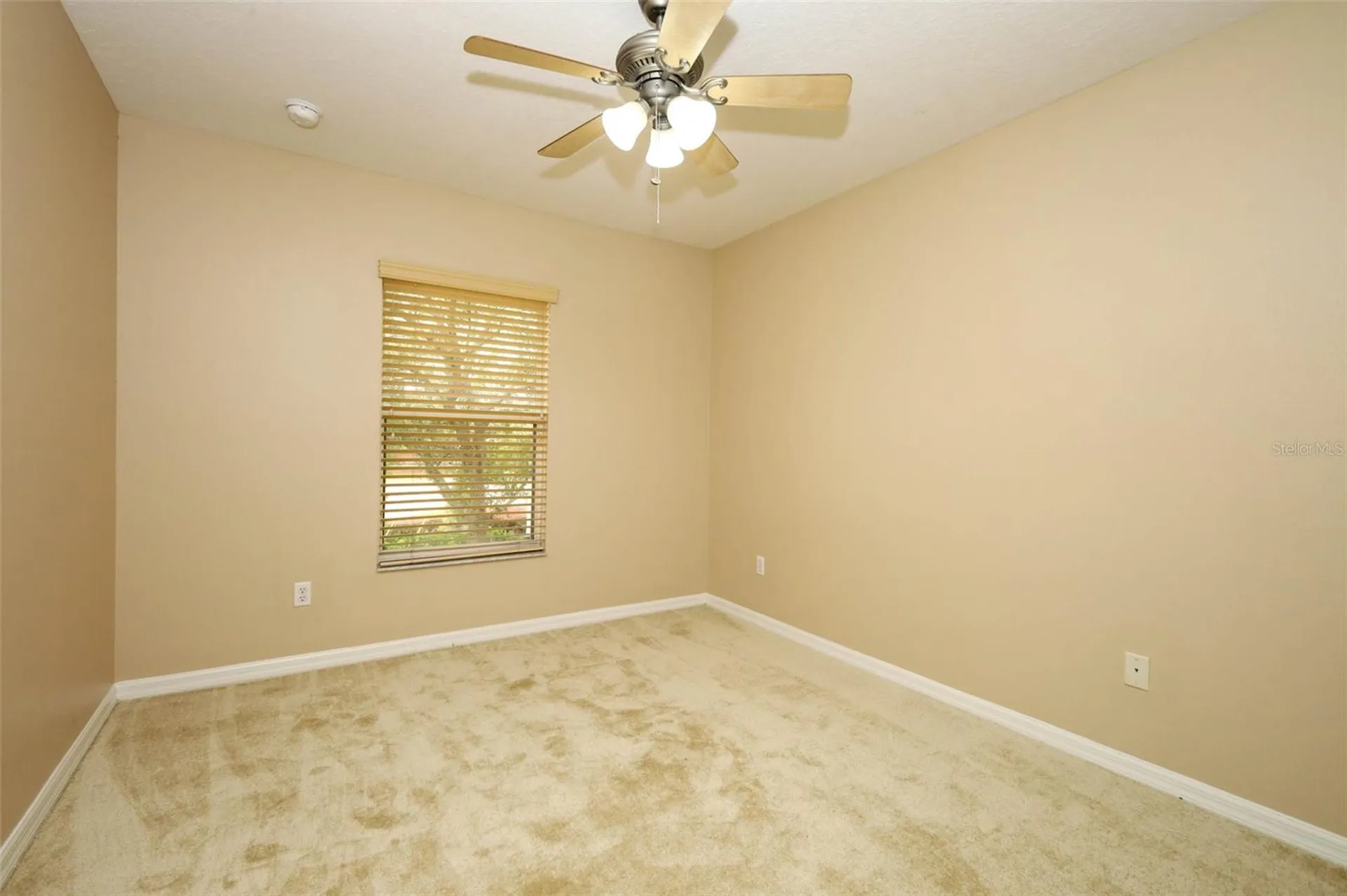4442 Maidenhair Cove Oviedo FL 32765