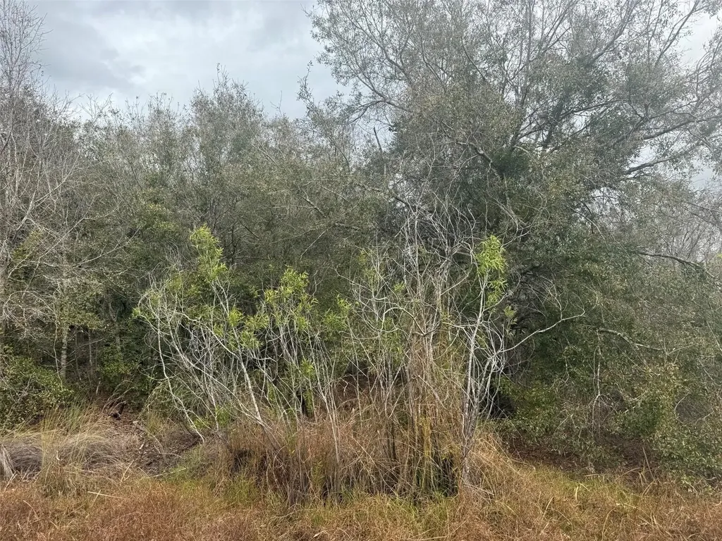 17667 NW 254th Street Okeechobee FL 34972