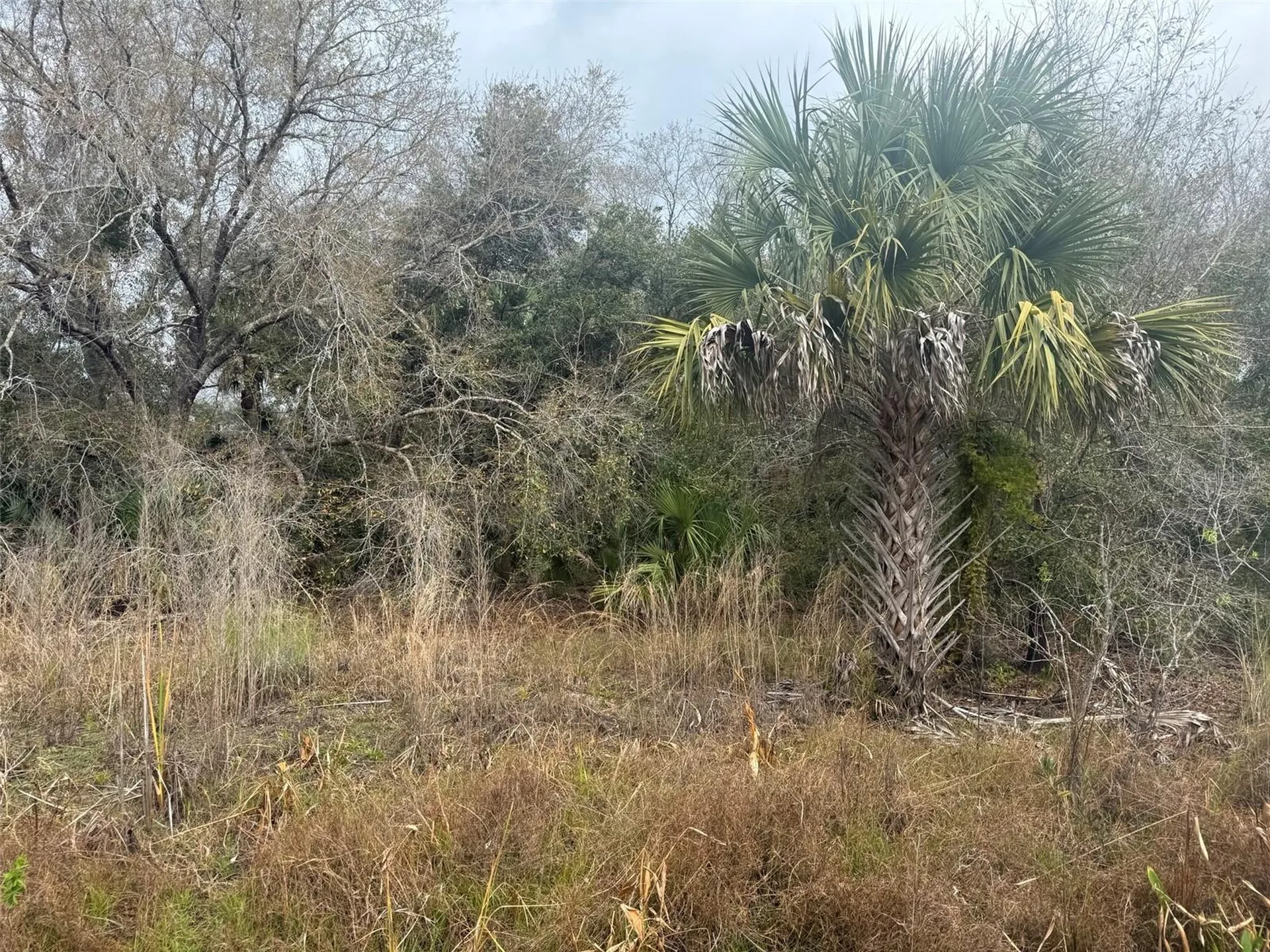 17667 NW 254th Street Okeechobee FL 34972