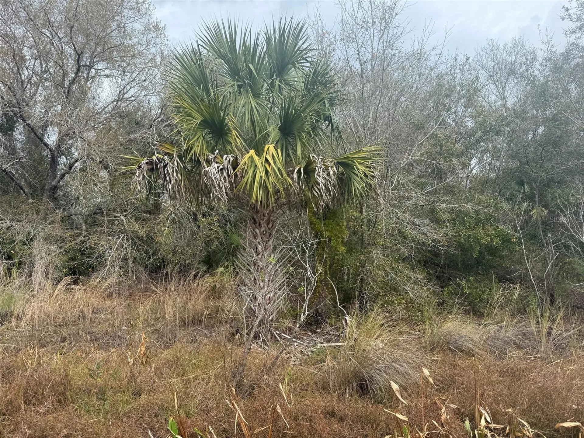 17667 NW 254th Street Okeechobee FL 34972