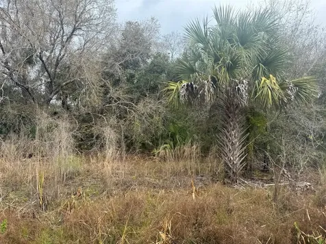 17667 NW 254th Street Okeechobee FL 34972