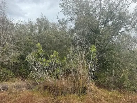 17667 NW 254th Street Okeechobee FL 34972