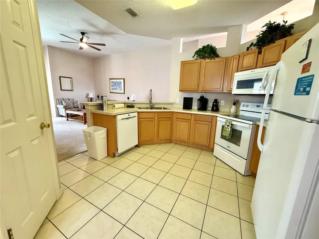 113 Plumoso Loop Davenport FL 33897
