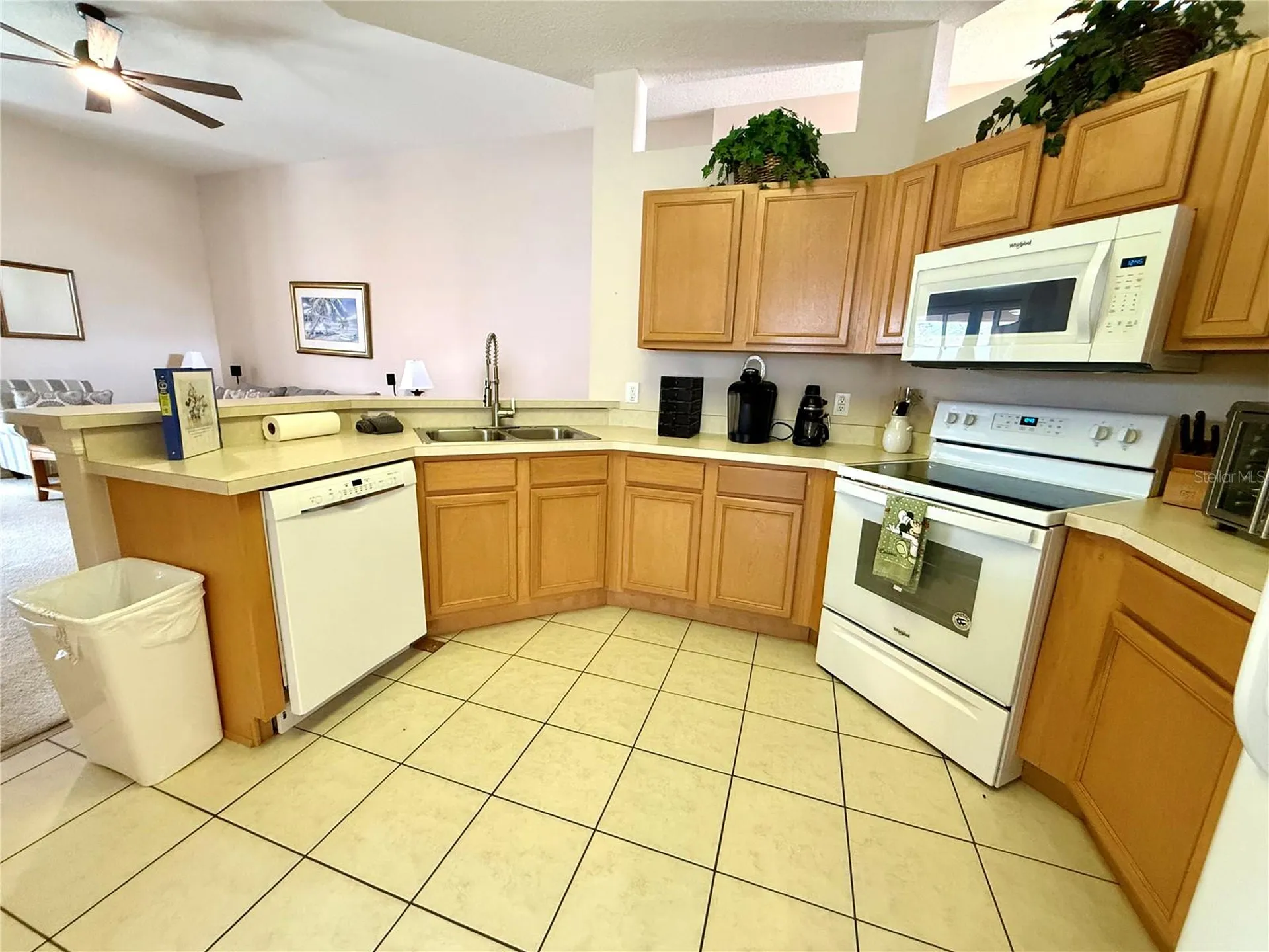 113 Plumoso Loop Davenport FL 33897