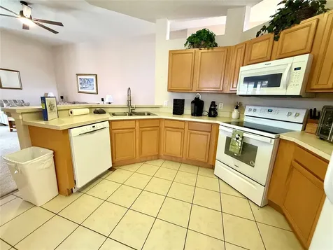 113 Plumoso Loop Davenport FL 33897