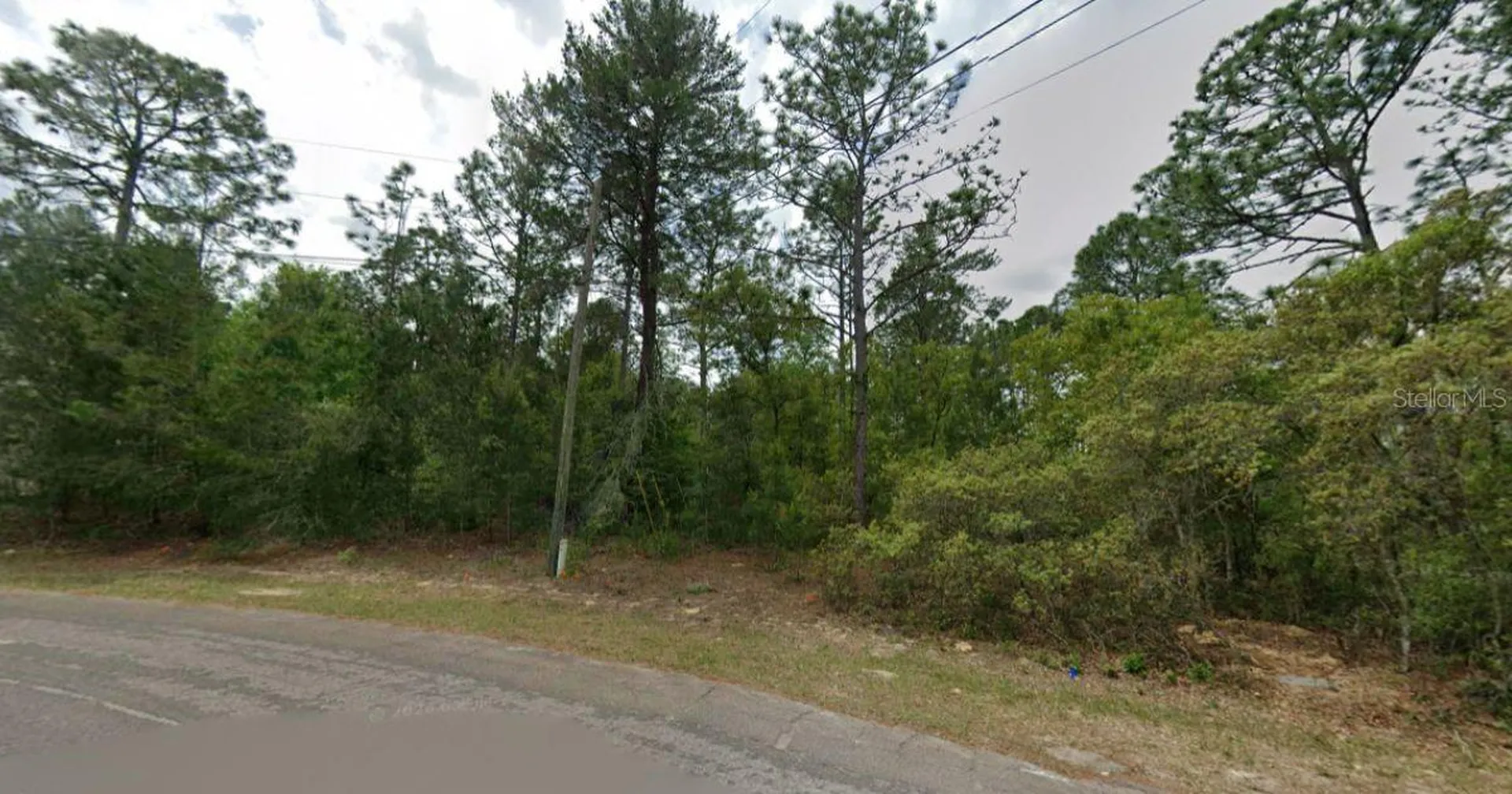 7792 N Ibsen Drive Dunnellon FL 34433