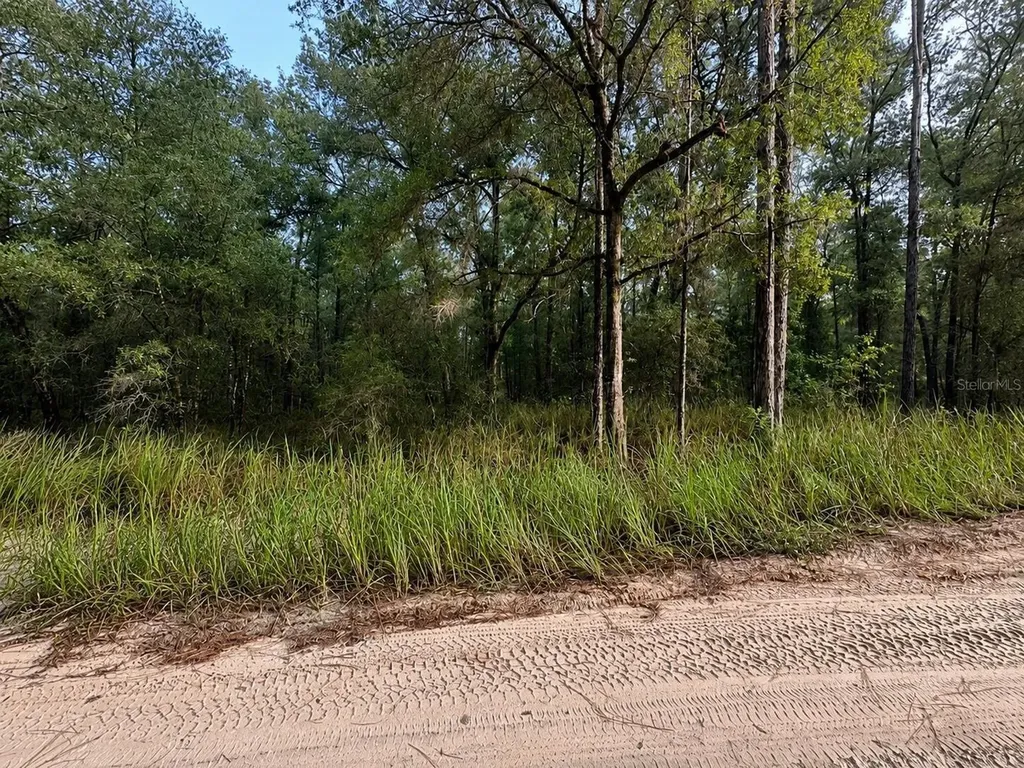 15649 SW 40th Street Ocala FL 34481