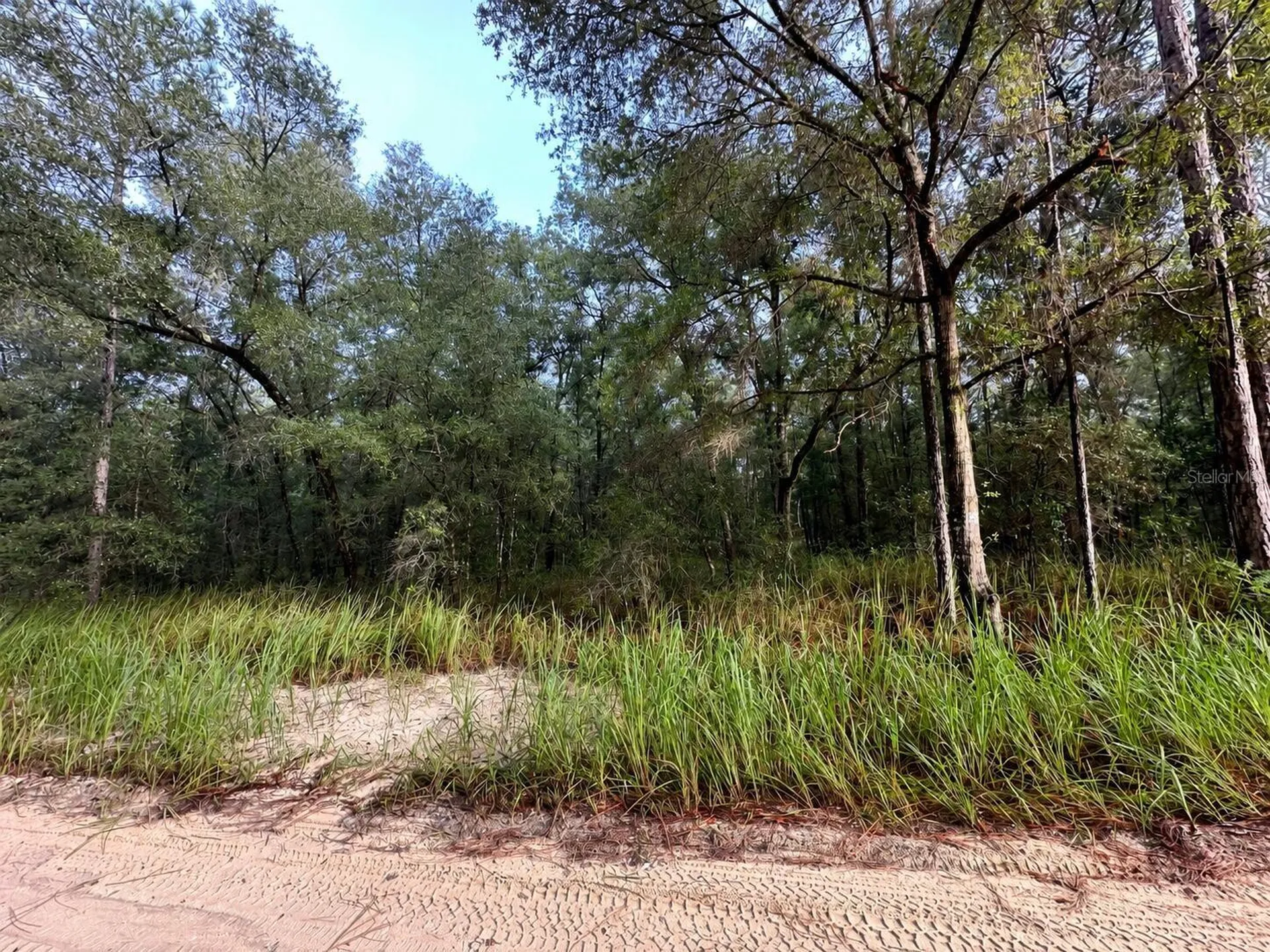 15649 SW 40th Street Ocala FL 34481