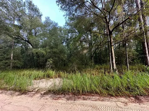 15649 SW 40th Street Ocala FL 34481