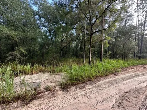 SW 40th Street Ocala FL 34481