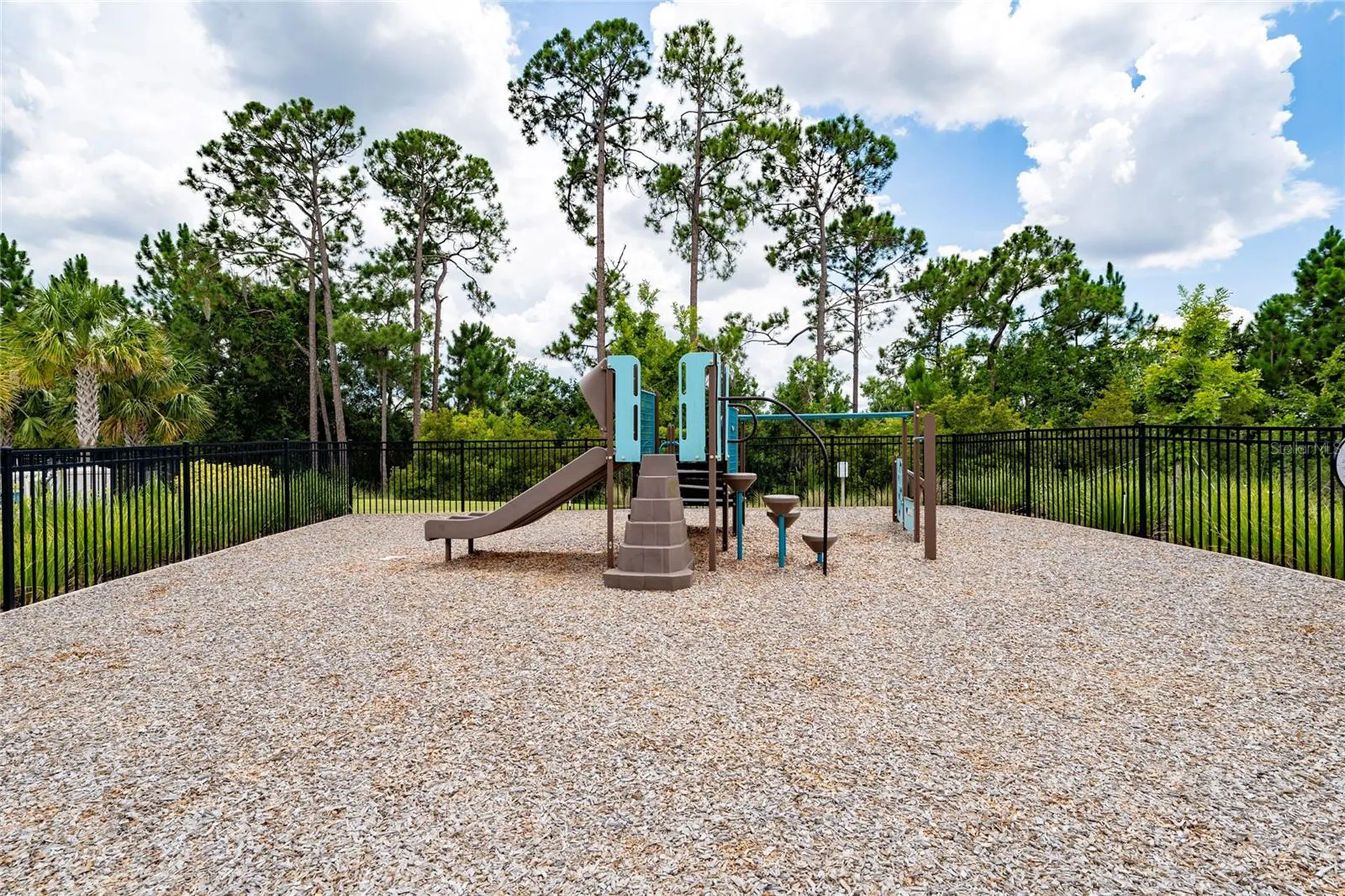 7699 Bowery Drive Winter Garden FL 34787