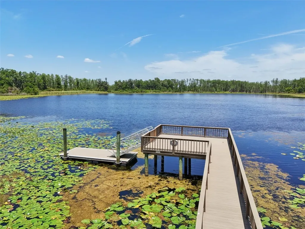 1741 Cherry Walk Road Lutz FL 33558