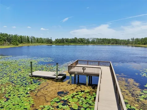 1741 Cherry Walk Road Lutz FL 33558