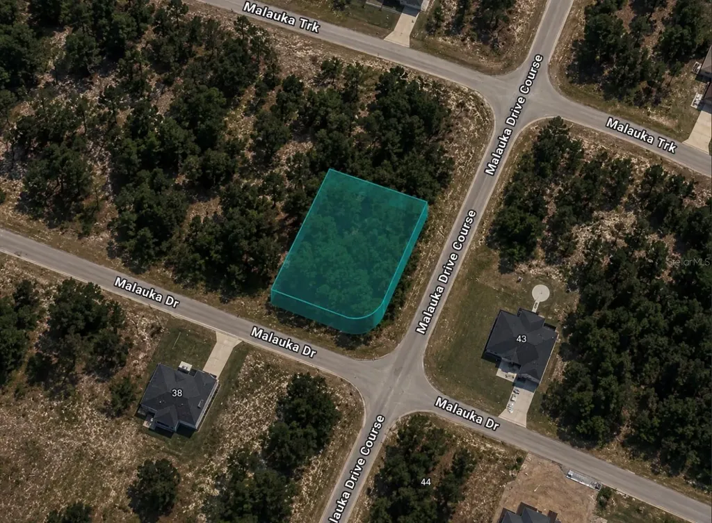 0 Malauka Drive Ocklawaha FL 32179