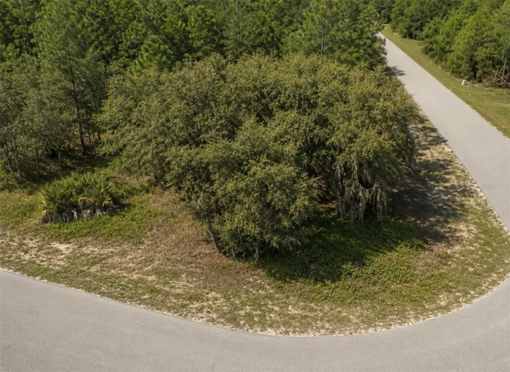 0 Malauka Drive Ocklawaha FL 32179