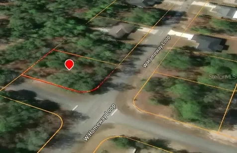 821 W Homeway Loop Citrus Springs FL 34434