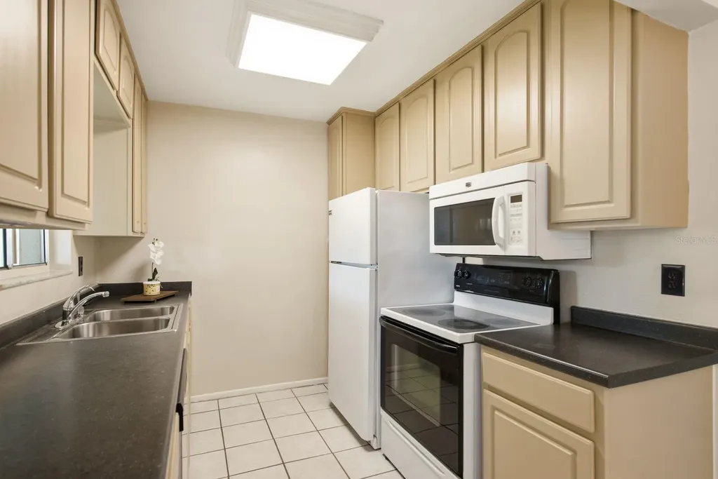 442 Evergreen Drive Oldsmar FL 34677