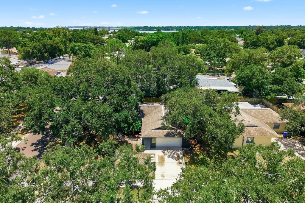 442 Evergreen Drive Oldsmar FL 34677