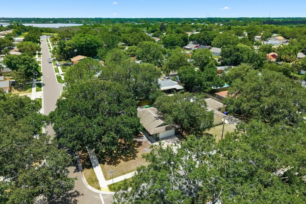 442 Evergreen Drive Oldsmar FL 34677