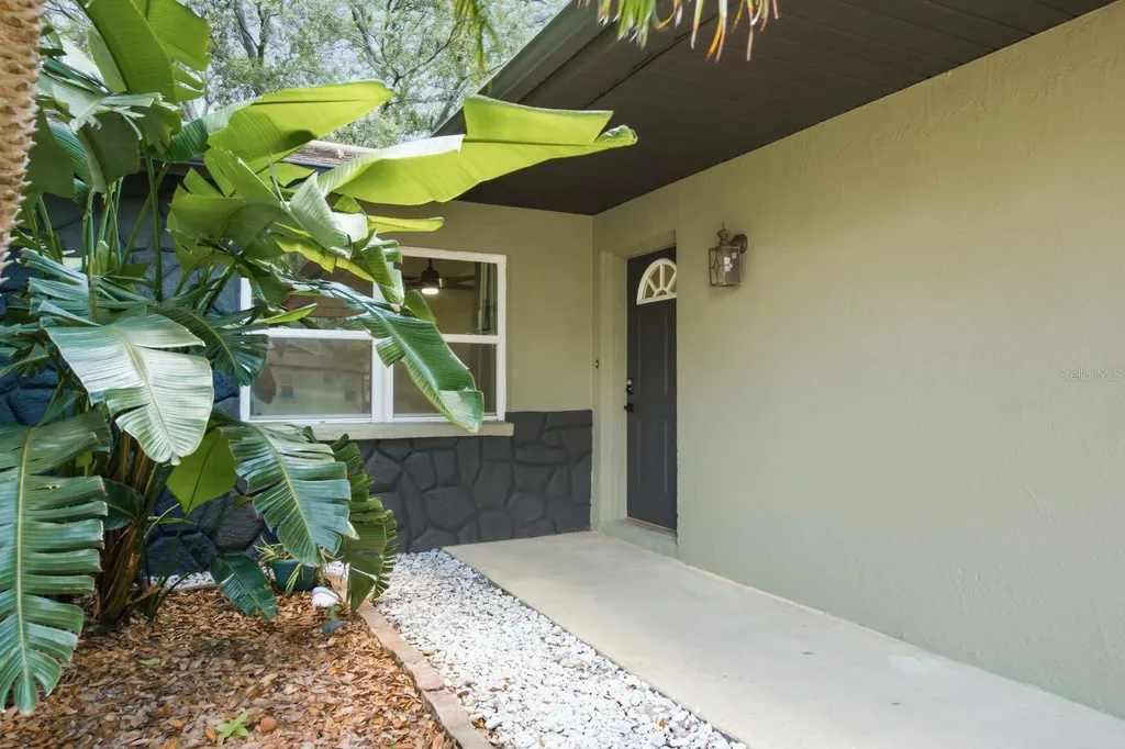 442 Evergreen Drive Oldsmar FL 34677