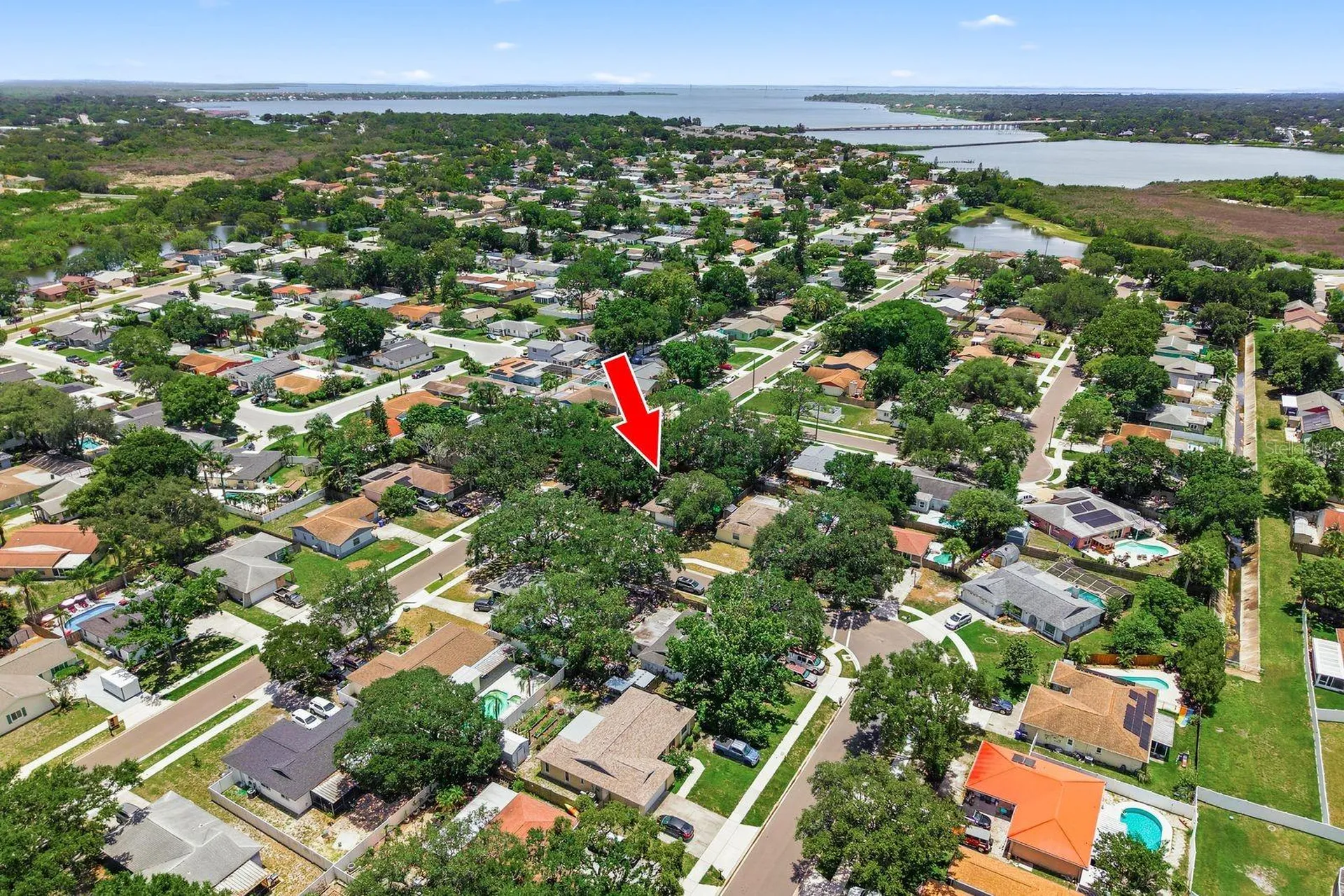 442 Evergreen Drive Oldsmar FL 34677
