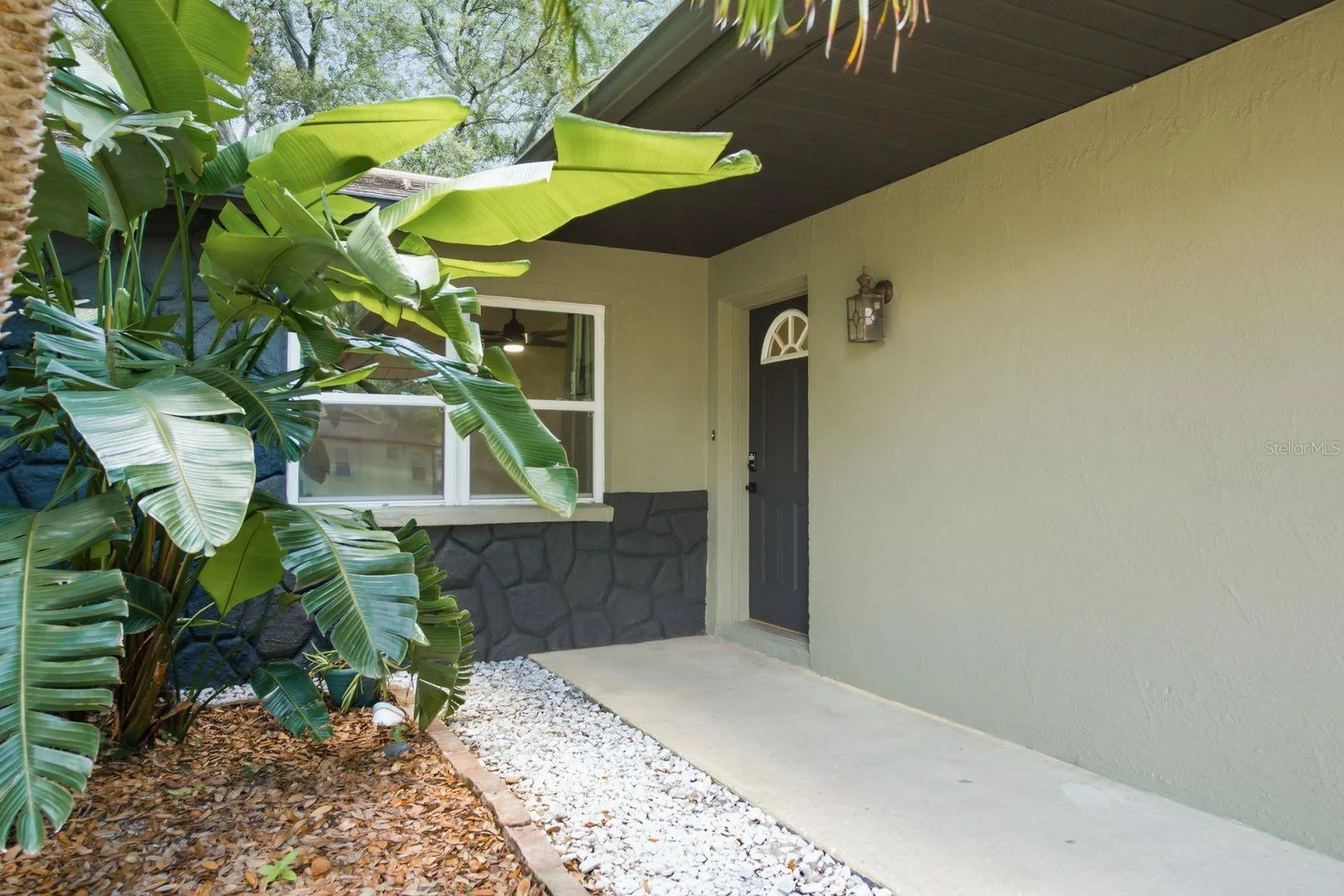 442 Evergreen Drive Oldsmar FL 34677