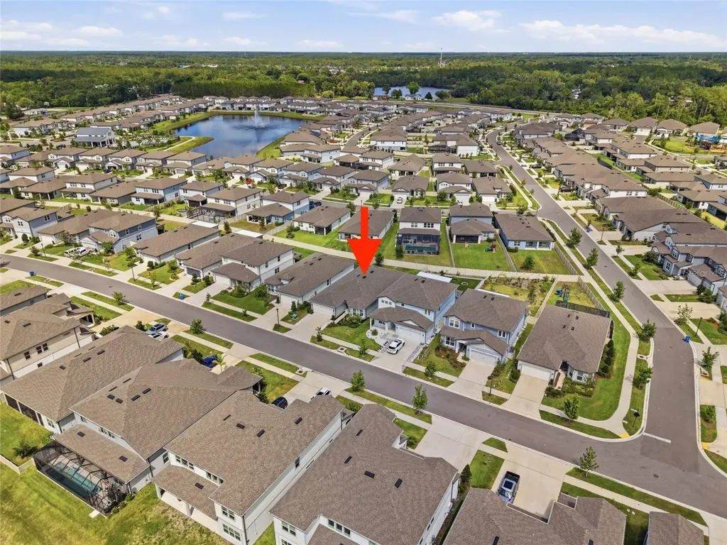 3834 Maple Bay Lane Land O Lakes FL 34638