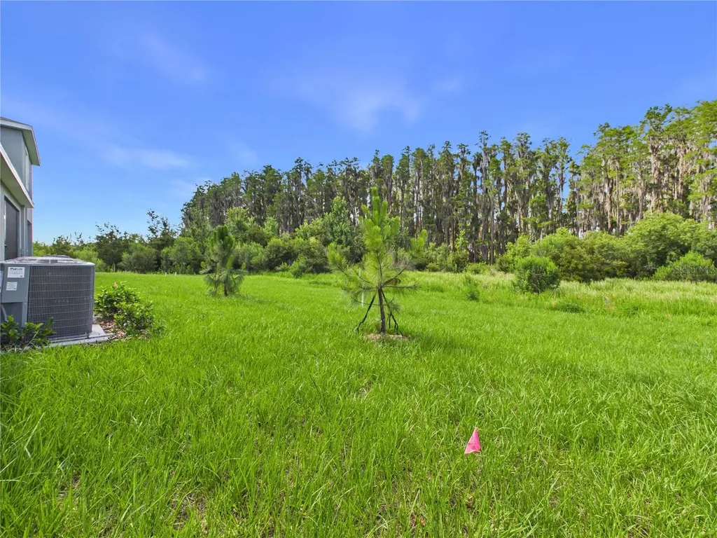 32519 Welling Blade Loop Wesley Chapel FL 33545