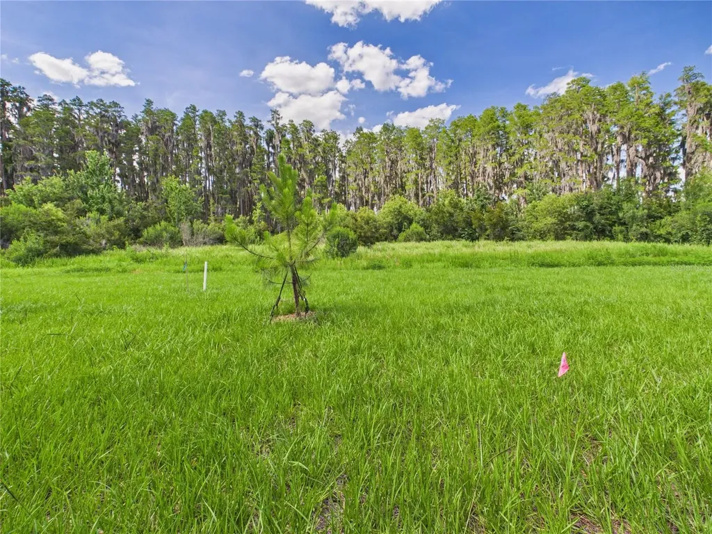 32519 Welling Blade Loop Wesley Chapel FL 33545