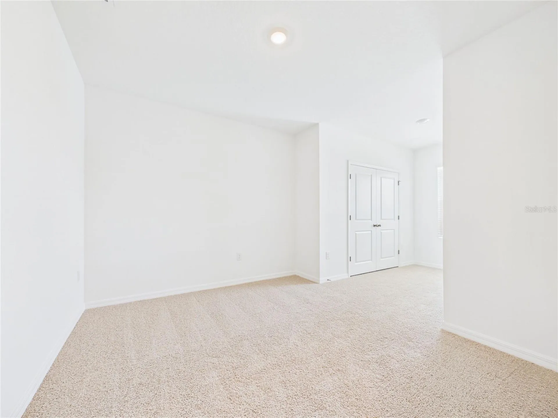 32519 Welling Blade Loop Wesley Chapel FL 33545