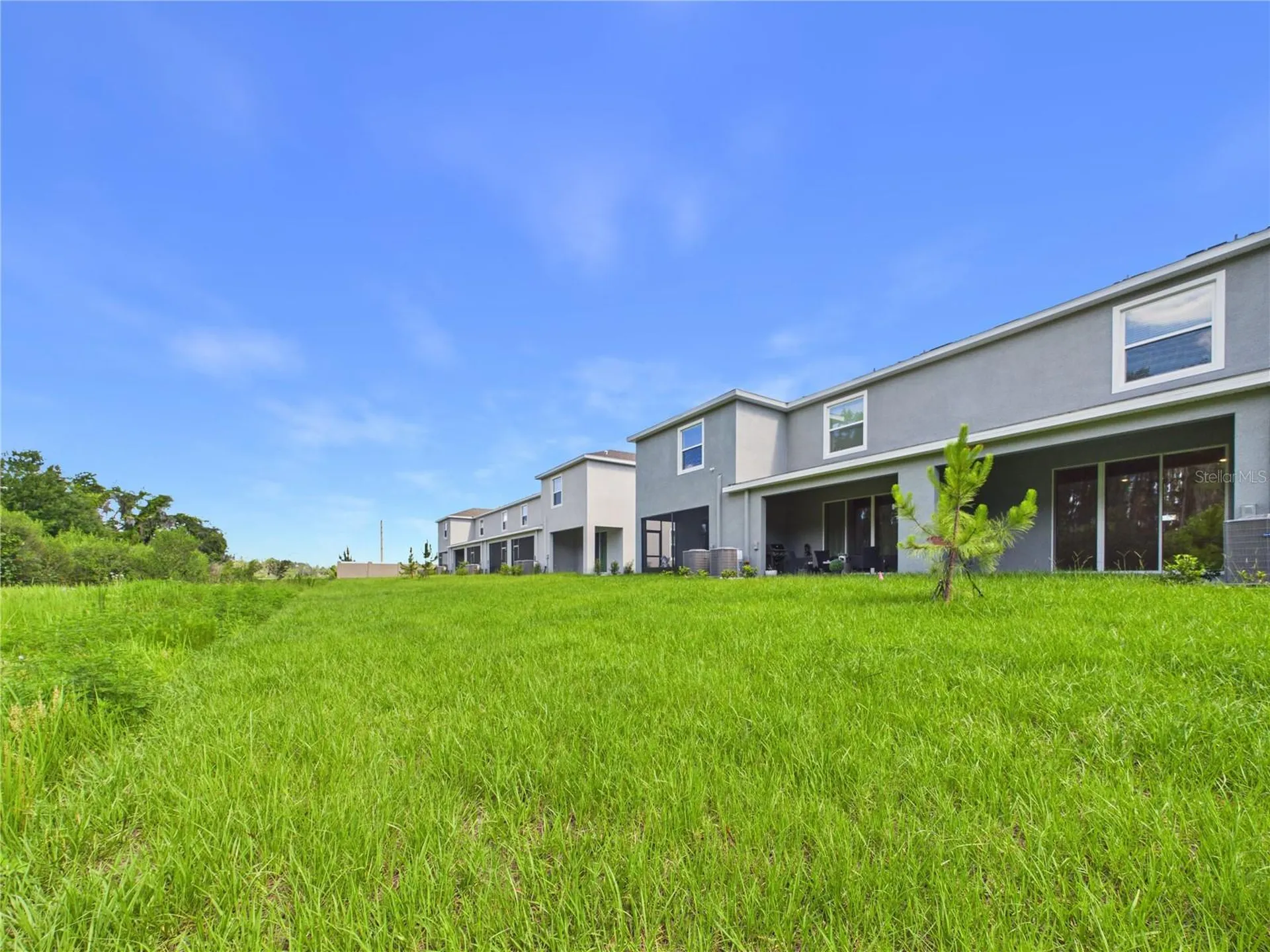 32519 Welling Blade Loop Wesley Chapel FL 33545