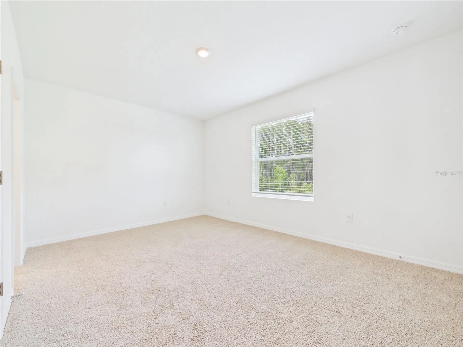 32519 Welling Blade Loop Wesley Chapel FL 33545