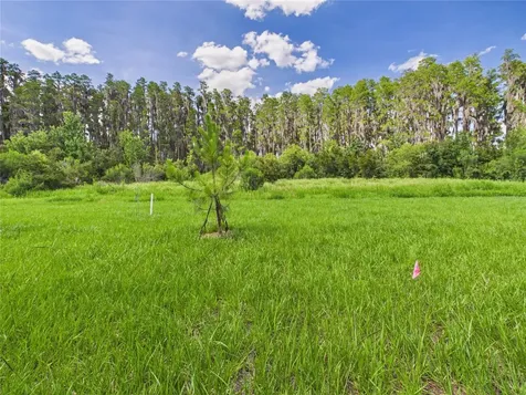32519 Welling Blade Loop Wesley Chapel FL 33545