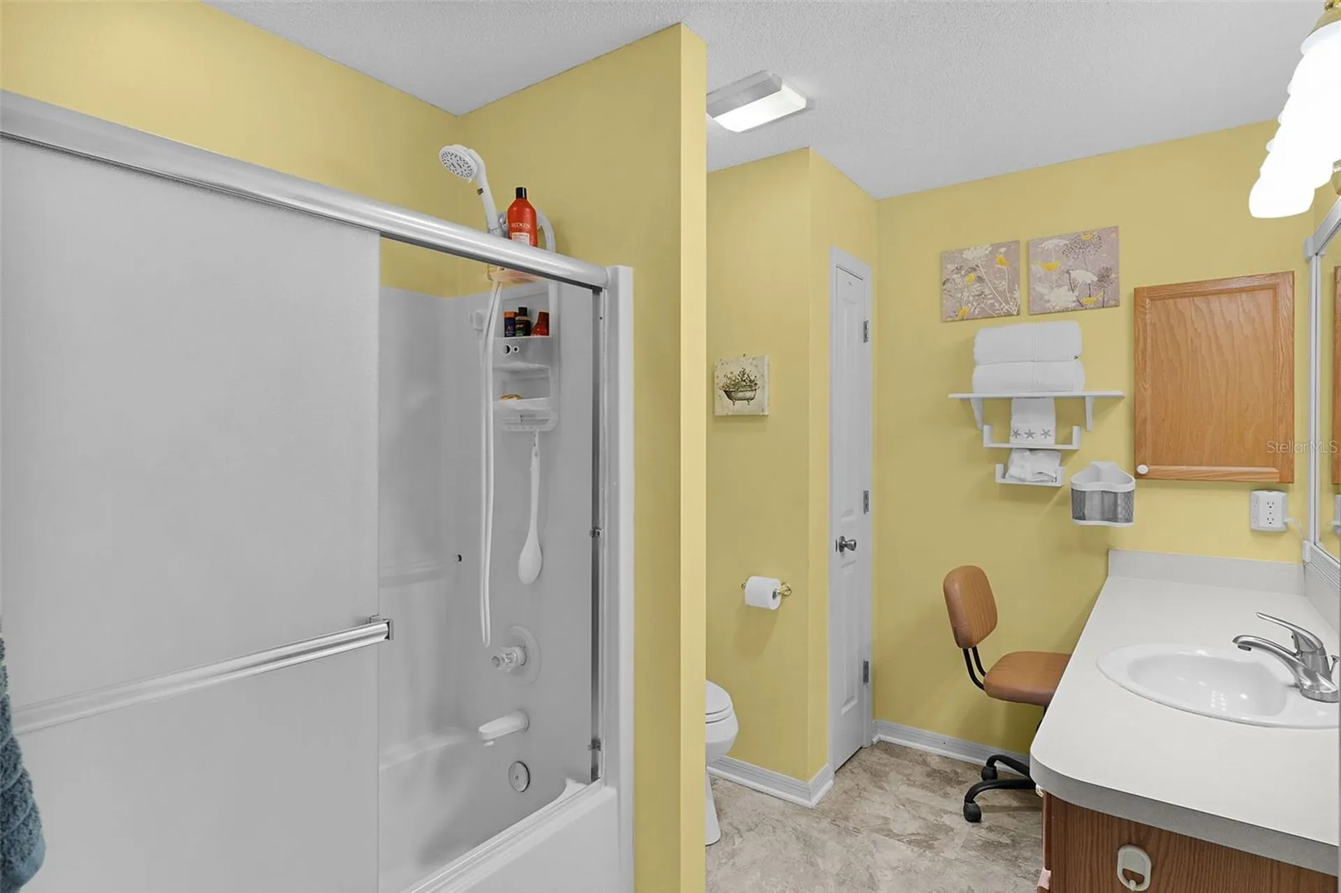 1317 Carvello Drive The Villages FL 32162