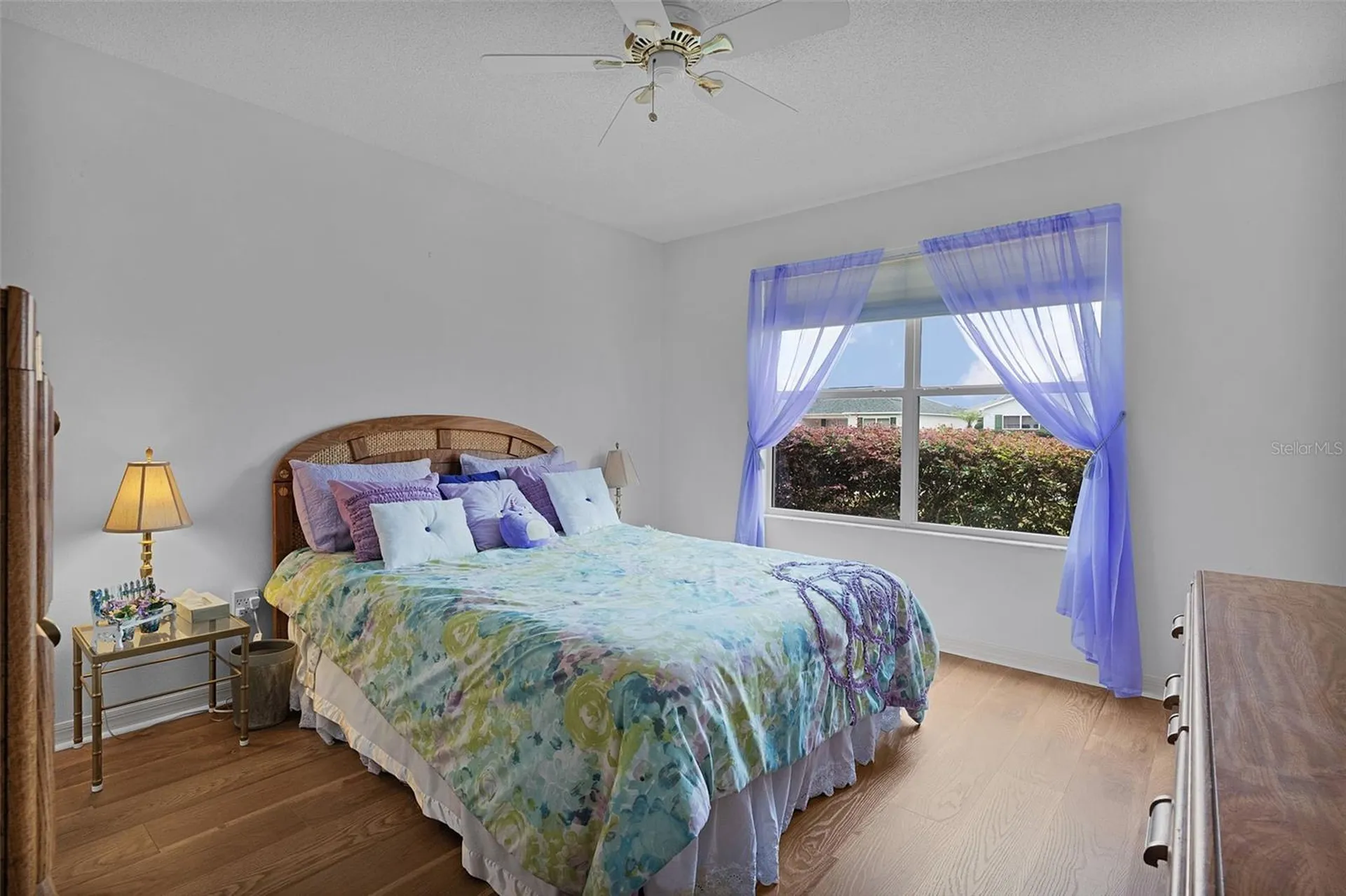 1317 Carvello Drive The Villages FL 32162