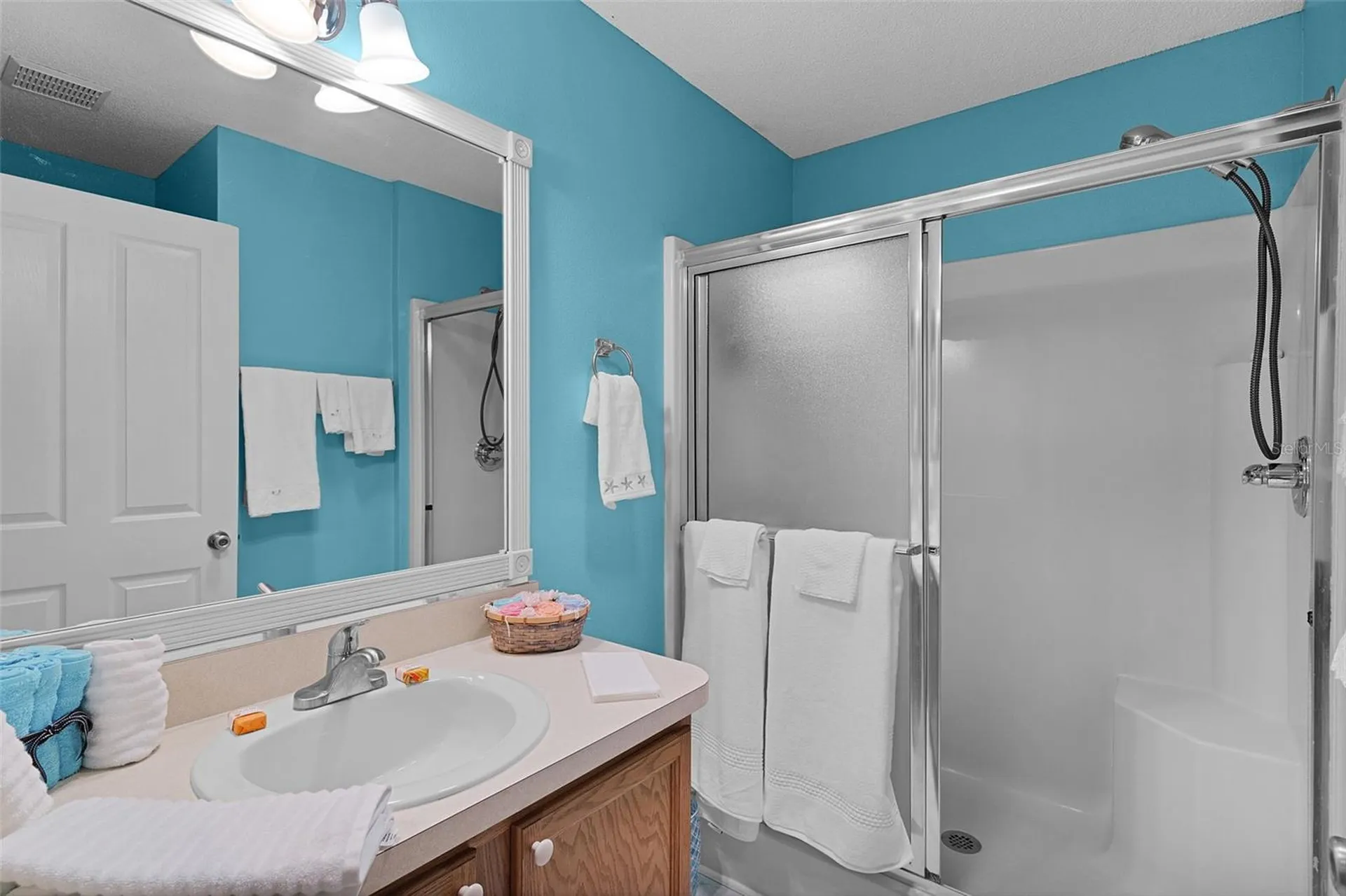 1317 Carvello Drive The Villages FL 32162