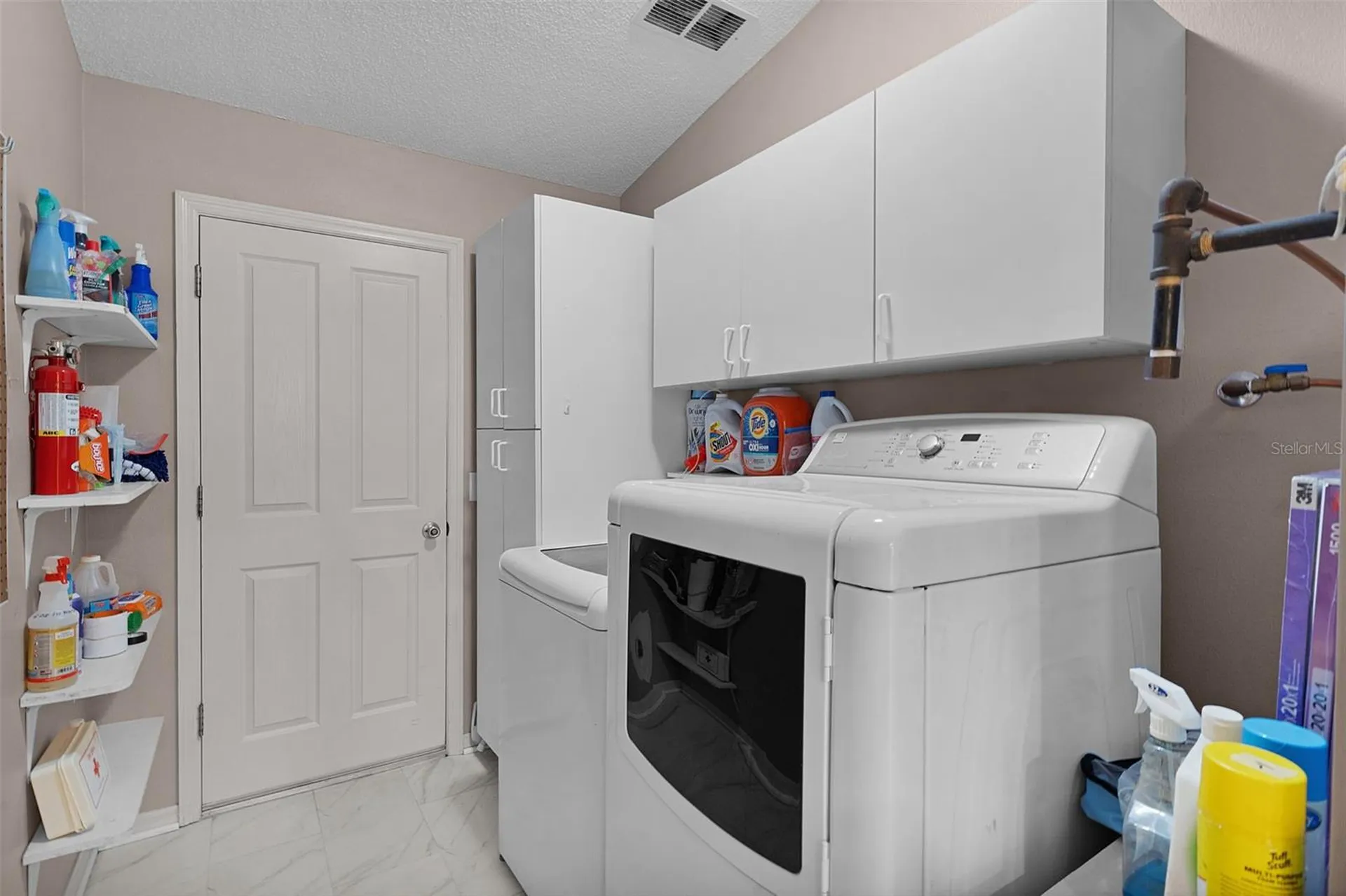1317 Carvello Drive The Villages FL 32162