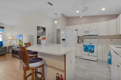1317 Carvello Drive The Villages FL 32162