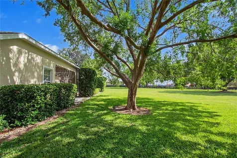 12913 County Road 104b Oxford FL 34484