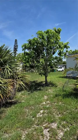3373 Lucerne Terrace Port Charlotte FL 33952