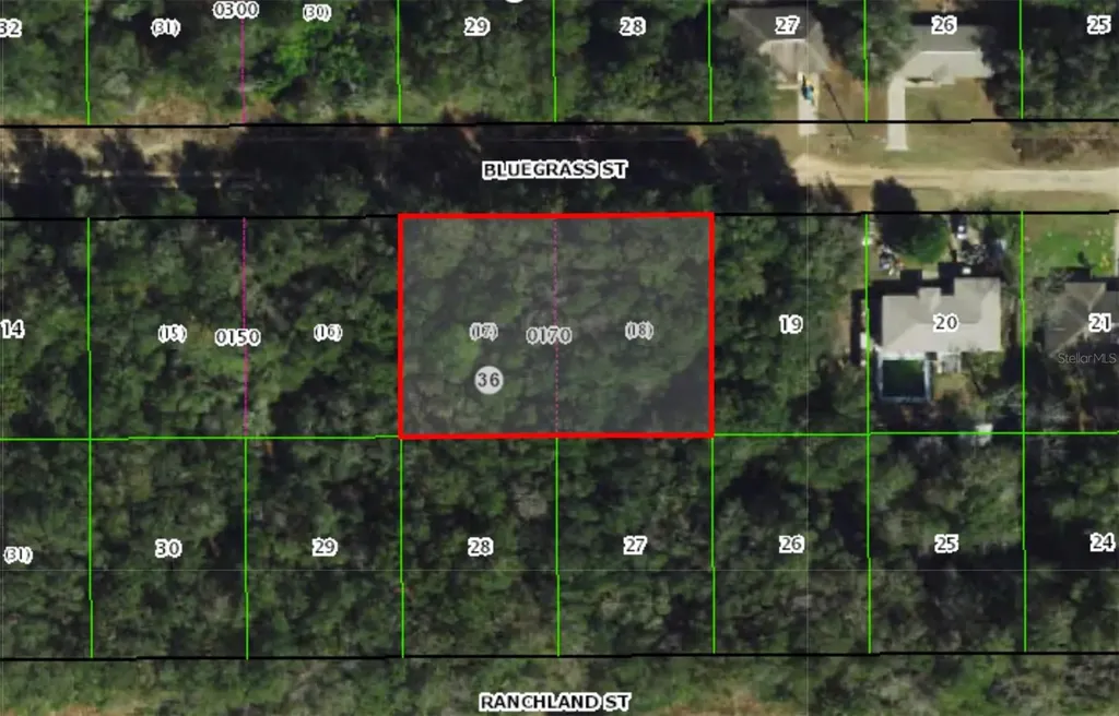 2215 Bluegrass Street Inverness FL 34453