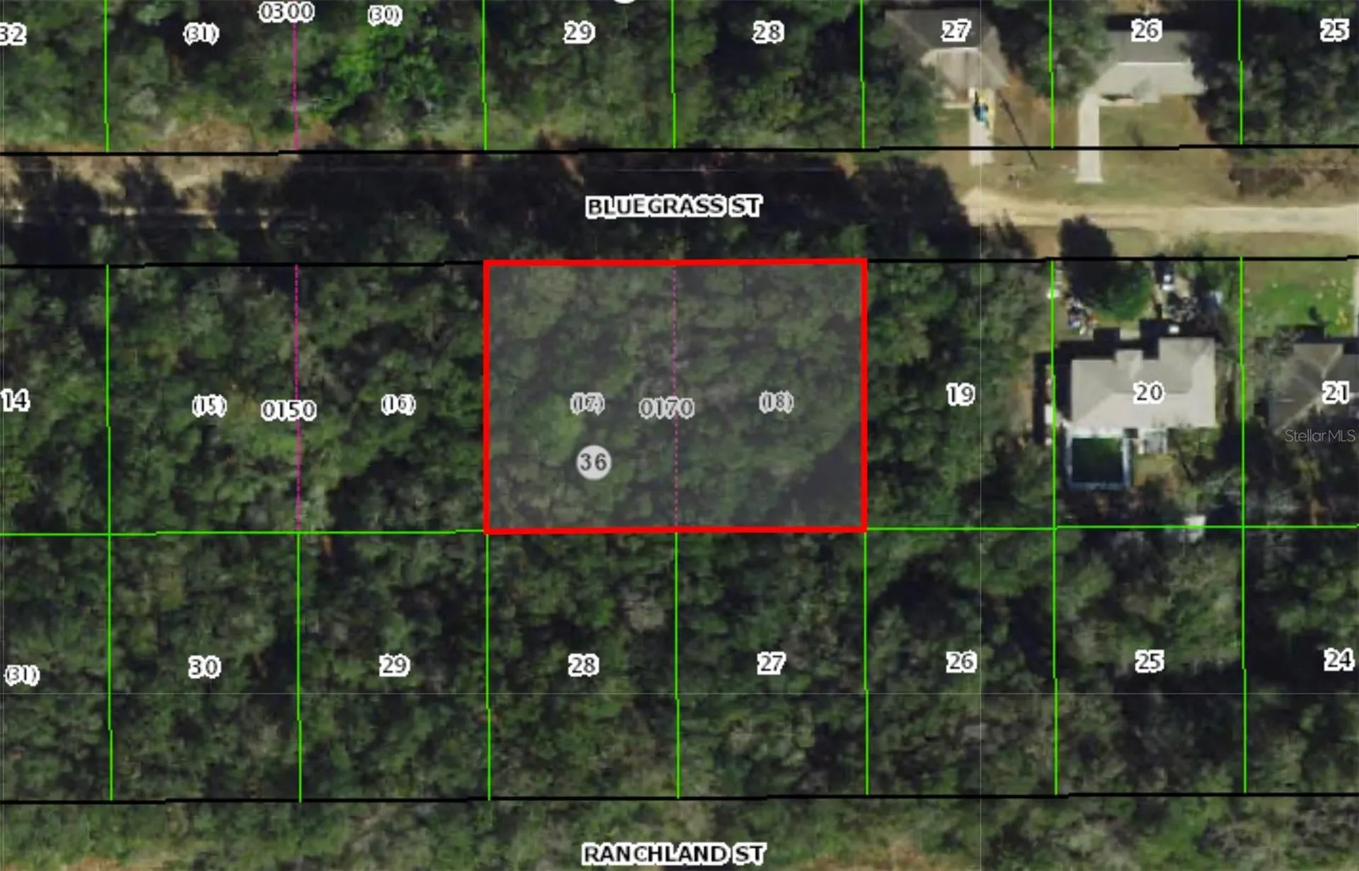 2215 Bluegrass Street Inverness FL 34453