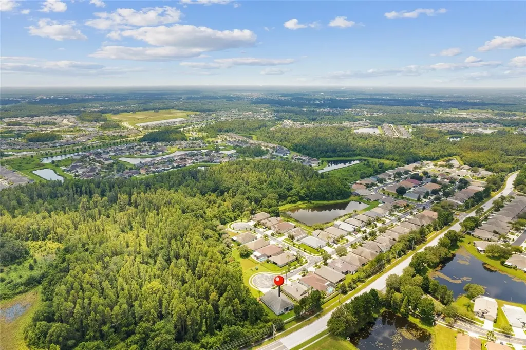 31421 Anniston Drive Wesley Chapel FL 33543