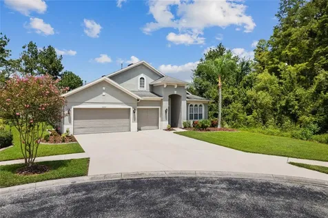 31421 Anniston Drive Wesley Chapel FL 33543