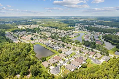 31421 Anniston Drive Wesley Chapel FL 33543