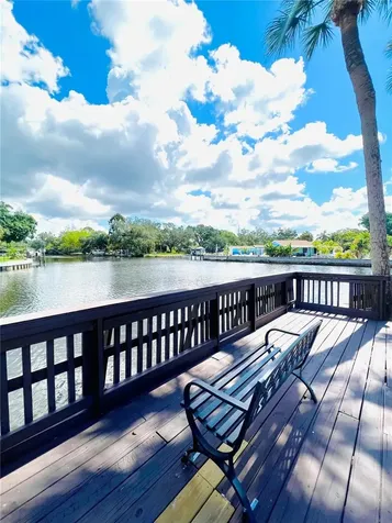 9201 Tudor Drive Tampa FL 33615